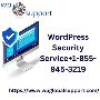 Best WordPress Security Service at Wp Global Support+1-855-9