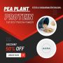 Buy Pea Plant Protein Powder Online