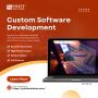 Custom Software Development in Delhi