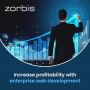 Extend your reach with an enterprise-level website with Zorb