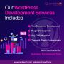 Custom WordPress Development Services Company