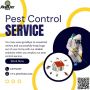 Trusted Pest Solutions Across Metro Detroit | Pest City USA