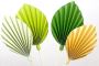 Layered Paper Butterflies Tutorial