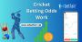 Big Bash League Betting Odds & Predictions