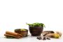 Trusted Ayurveda Treatment Center | 2050 Healthcare
