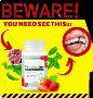 ProDentim Review 2025: Do These Chews Really Work? (Full Exp