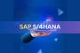 Why Now is the Best Time for Businesses to Move SAP S/4HANA 