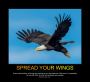 Now Is the Time to Spread Your Wings to Fulfill Your Dreams