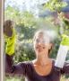 Trusted Window Cleaning Experts in Bayswater