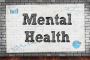 Reliable Transcription for Mental Health Professionals