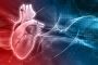 Precision in Every Beat – Cardiology Transcription Experts