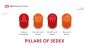 Strengthening Ethical Supply Chain The Value Of Sedex
