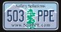 503PPE 503PPE