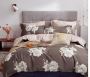 Are you looking for a cotton bed set? Contact us!