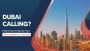 How to Apply for a Police Clearance Certificate in Dubai?