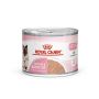Premium Nutrition for Your Pet – Royal Canin Available Now!