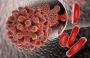 Trusted Covid Monoclonal Antibody Infusion Clinic Trusted Covid Monoclonal Antibody Infusion Clinic