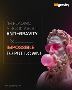 Best SEO Agency in London – 88gravity