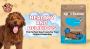 Healthy And Delicious: The Perfect Dog Treats For Your Canin