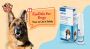 EasOtic For Dogs: Ingredients, Dosage, And How To Use It Saf