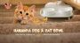Hanamya Dog & Cat Bowl: The Perfect Blend Of Style A2Z Pets