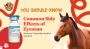 Common Side Effects Of Zycosan (Pentosan Polysulfate Sodium 