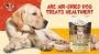  Are Air-Dried Dog Treats Healthier? Exploring Badlands A2Z