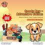 Goody Box Puppy Toys, Treats & Potty Training – A2Z Pets