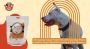 Are Canine Caviar Dried Sweet Potato Dog Treats Good For Dog
