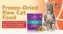 Is Freeze-Dried Raw Cat Food Worth It? A Look At Stella