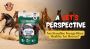 Are Standlee Forage Bites Healthy For Horses? A Vet’s Perspe