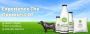 Fresh A2 Buffalo Milk & Natural Dairy Products – Vatsalya Fa