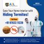 Termite Control Services Termite Control Services