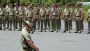 New program aims to improve outcomes for Australian veterans
