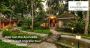 How Can the Ayurvedic Health Resort Improve Your Health?