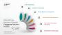 From Inventory to Supply Chain - Absolute ERP Gives a Perfec