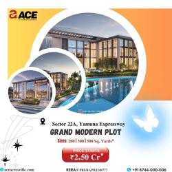 Ace Plots Sector 22A  Residential Land in Noida 200 to 500 S