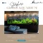 Premium Starphire Glass Aquarium for Crystal-Clear Views | A