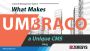  Hire the best Umbraco Developers
