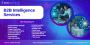 B2B Intelligence Services – Discover Key Decision-Makers Acr