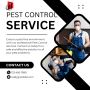 Eco-Friendly Pest Control – Safe for Kids & Pets