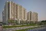 Real Estate Builders in Noida
