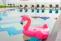 Find the Finest Pool Shops in Adelaide Find the Finest Pool Shops in Adelaide