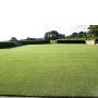 Find the Right Couch Grass Types for Your Lawn