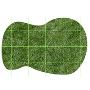 Best Lawn Seed for Lush, Healthy & Long-Lasting Lawns