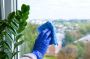 What Is the Best Method for Streak-Free Window Cleaning?