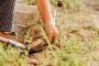 Power Washing Services in Ocala - Affordable Paradise Lawn