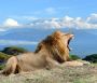 Unforgettable Tanzania Tours & Safaris: Explore Wildlife, Cu
