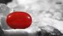 Buy 3 Carat Red Coral At Best Price Buy 3 Carat Red Coral At Best Price