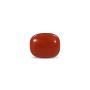 Get Premium Coral Stone at best price